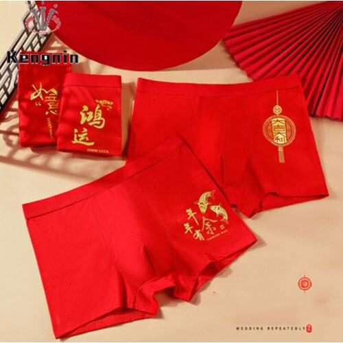 Kengnin Men's Briefs