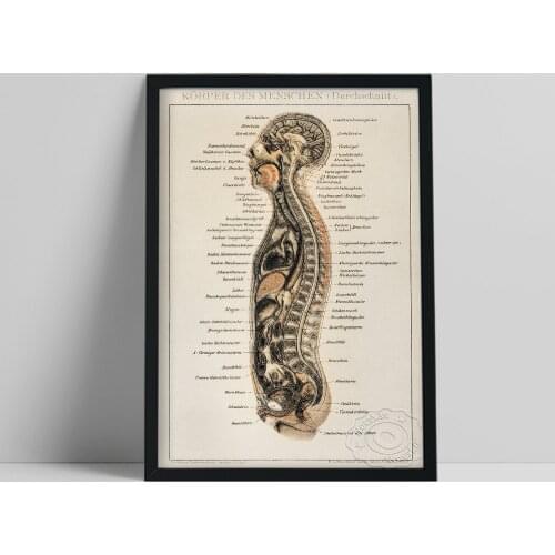 Human Anatomy Chart Retro Poster, Internal System Showcasing Vintage Art Prints Wall Picture, Medical Education Science Decor