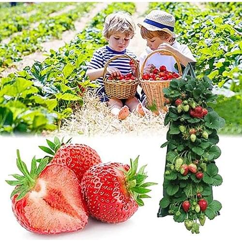 Planter PE Fabrics Pot Multi-mouth Strawberry Bag Non-Woven Container PE Gardening Tool PE Vertical Seedling Hanging Grow Bags