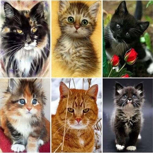 DIY Cat 5D Diamond Painting Full Square/round Drill Animal Diamond Embroidery Wall Art Rhinestone Mosaic Decoration Gift