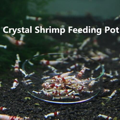 Clear Glass Crystal Shrimp Feeding Feeder Bowl Dish Fish Tank Red Shrimp Snail Fish Food Pot Cup Container