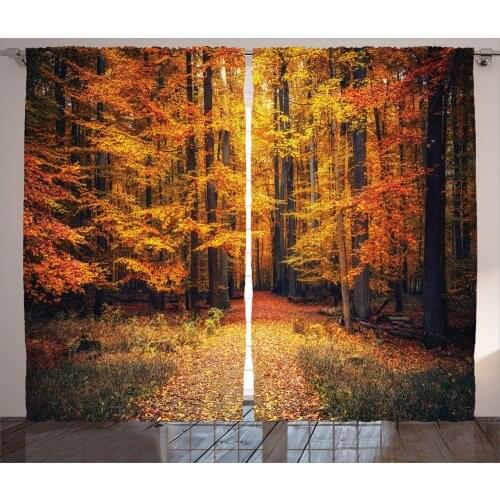 Autumn Park Forest Window Curtains Kitchen Items Drapes Curtains for Living Room Home Decor Curtains for Bedroom