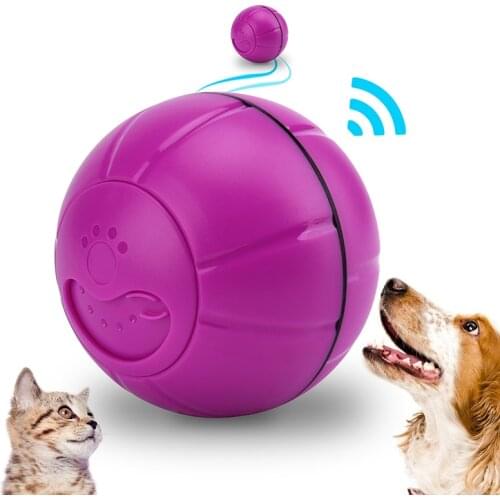 Pet Dog Toy Ball Automatic Feeding Balls Voice Recording Guide Funny Ball Puppy Toys Bite Indoor Cat Toy Supplies Pet Toy Ball