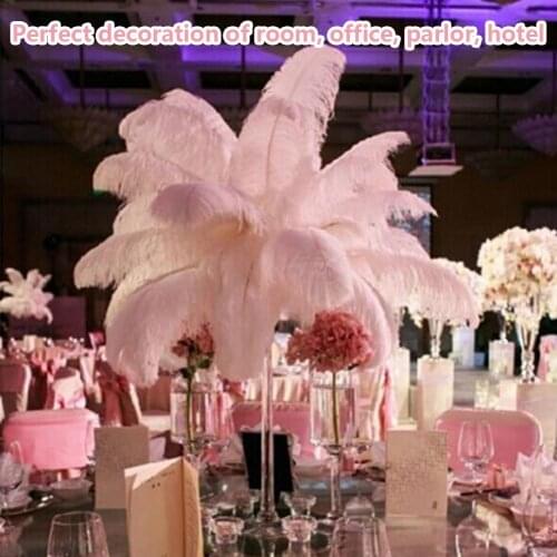 10PCS Natural Ostrich Feathers Wedding Feathers Clothing Accessories Wedding Party Supplies Carnival Dancer Decor Plumas Plumage