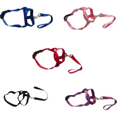 Намордники для собак Chicdog China At AliExpress