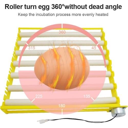 Hot Selling Roller Egg Tray Quail Goose Chicken Duck Bird Poultry Eggs Tray Farm Incubation With Motor Turn The Eggs