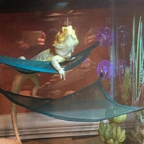 Reptile Hammock Lounger Ladder Accessories Set For Large Small Bearded Dragons Anole Geckos Lizards Or Snakes (, 19×13