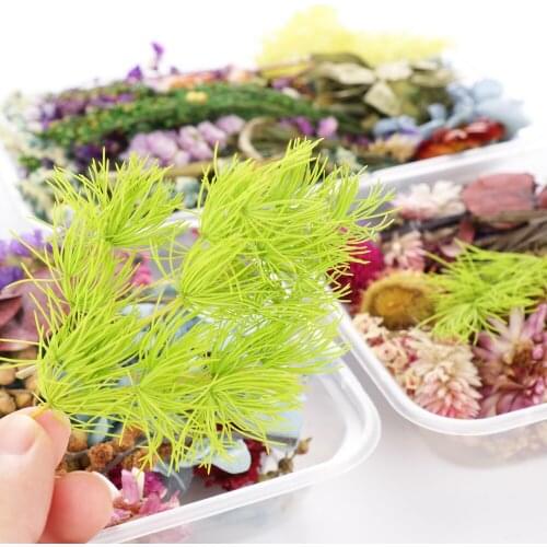 Dried Flower Dry Plants for Aromatherapy Candle Epoxy Resin Pendant Necklace Jewelry Making Craft DIY Home Accessories