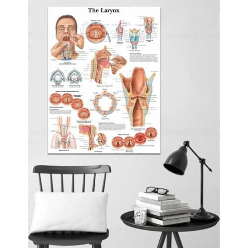 Home Decor Canvas Larynx Pictures Wall Art Painting Anatomy Prints Modern Modular Medical Education Poster Living Room Framework