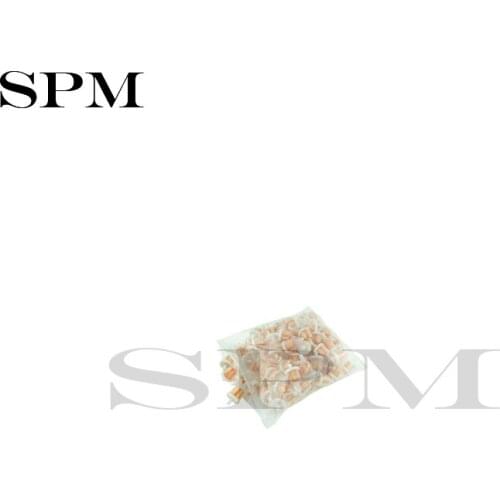 New 100pcs Motorcycle Plastic Inline Fuel Gas Filters Filter 50cc 90cc 110cc 150cc 250cc ATV Dirt bikes Go Kart Scooter