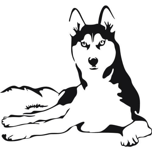 New Arrival Husky Dog Animals Vinyl Decal Pets Hospital Shop Window Decor Glass Sticker Dog Cat Wall Sticker For Room