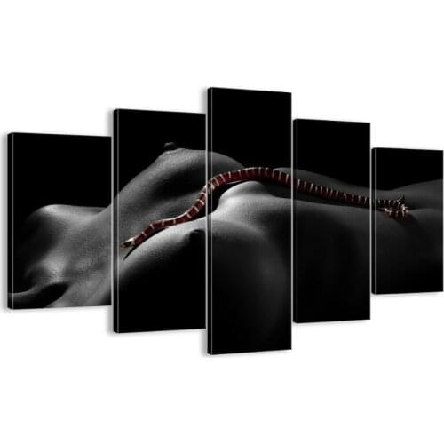 5 panel man and animal abstract painting cloth printed modern home wall decoration living room picture framed XJDC10-49