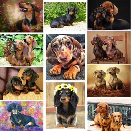 Diy 5d Diamond Painting Dachshund Rhinestones Full Square Drill Diamond Embroidery Animal Cute Dog Cross Stitch Mosaic Patters