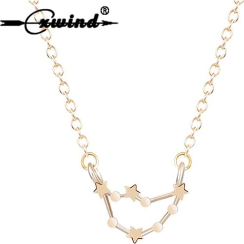 Cxwind Punk 12 Zodiac Sign Capricorn Necklace Amulet Constellation Necklace Women Birthday Jewelry Date 22/12-19/1