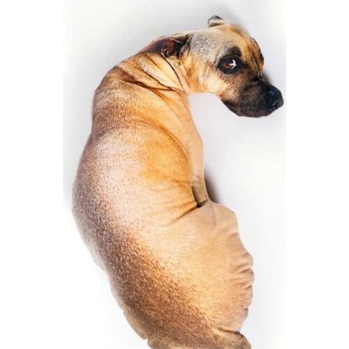 Cute dog Cushion animal Cartoon pillow fashion creative gift Bedroom Sofa Home Decor Christmas gift ideas home textile