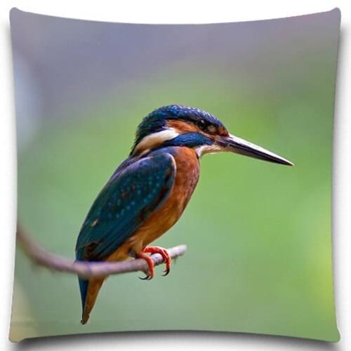 Cotton Polyester Animal Bird look decorative pillow cover throw pillow case cushion cover home decorative 5 size 9 style