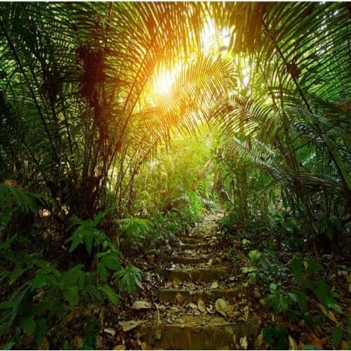Dropshipping Colomac Jungle Wallpaper Fantasy Forest Trail HD Natural Scenery Green Wallpaper Wall Mural 3d Duvar Kagitlari