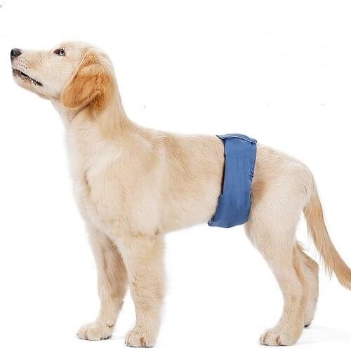 10PCS/LOT Reusable Male Pet Dog Nappy Pants Menstrual Sanitary Diaper Pets Physiological Pants Belly Band Shorts Pet Supplies