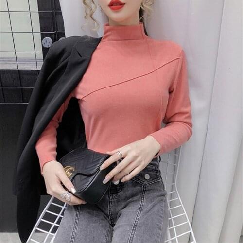 2020 Long Sleeve Tees Double Sided Fleece T-shirt Pullover Womens Autumn Winter Warm Tops Oversized Turtleneck Bottoming Shirt