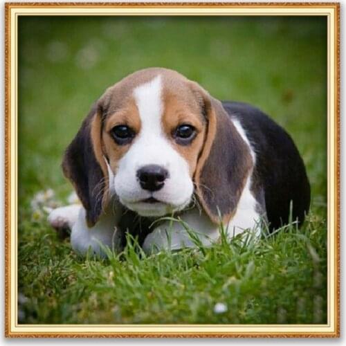Animal Dog Beagle DIY 11CT Cross Stitch Embroidery Kits Needlework Craft Set Cotton Thread Printed Canvas Home Decoration Sale