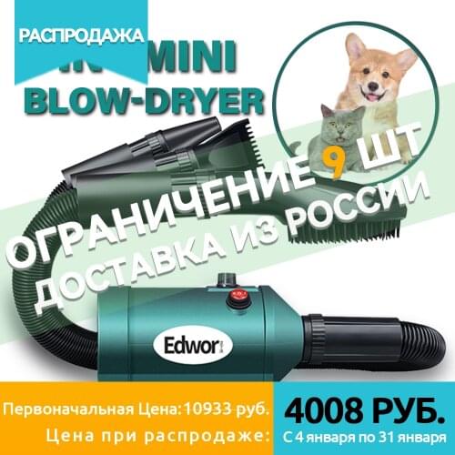 3 IN 1 Mini Dog Hair Dryer For Small Medium Dogs Cat Grooming Brush High Velocity Pet Blower Adjustable Speed Blow Dryer Heater