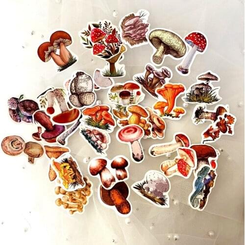 5 Sets=195PCS Autumn Mushroom Sticker Refrigerator Notebook Water Cup Waterproof PVC Sticker