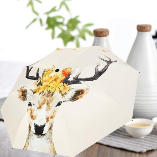 Оригинальные зонты JIANGPANYUE China At AliExpress