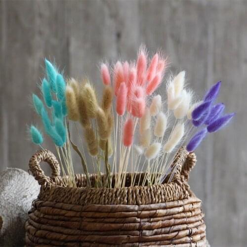 10Pcs, Natural Dried Flowers Rabbit Tail Grass Bunch Colorful Pampas Grass Real Dry Flower Bouquet Wedding Home Decor Accessorie