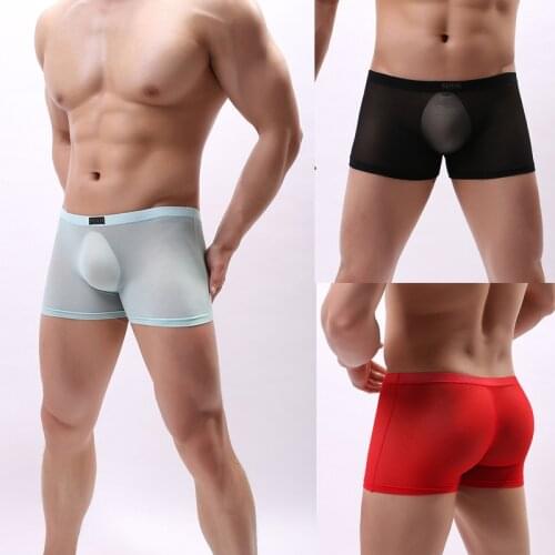 Transparent Underwear Men Boxer New Sexy Ultra-thin Mesh Casual Boxer U Convex Pouch Men Underwear Panties Ropa Interior Hombre