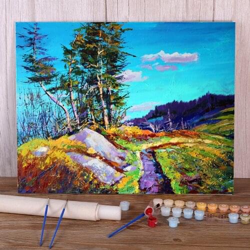 Landscape Carpathians Painting By Numbers Set Oil Paints 40*50 Canvas Painting Loft Wall Picture For Handiwork
