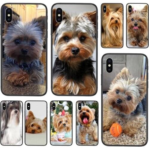 Qdowpz Samsung Galaxy A30s Phone Cases