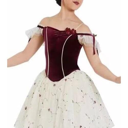 New ballet dance dress girls tutu skirts tulle Dance wear Jazz dance,modern dance