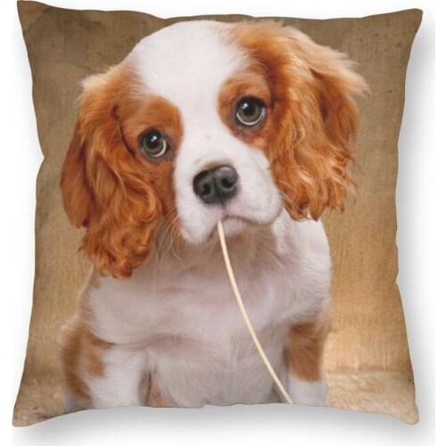 Cool Cavalier King Charles Spaniel Dog Square Throw Pillow Case Home Decorative Printing Pet Puppy Cushion Cover for Living Room