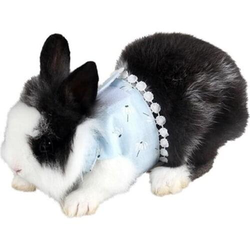 Small Pet Two-legged Chest Strap Outdoor Traction Rope Leash Clothes For Small Rabbit Breathable Cotton Corset
