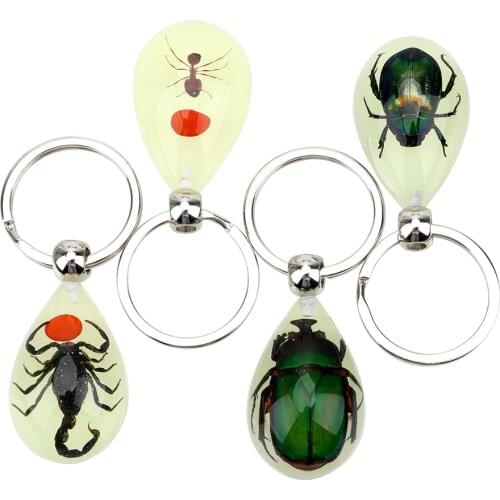 Artificial Amber Insect Car Keyring Luminous Scorpion Ant Amber Key Chains Creative Scorpion Keychain Car-styling