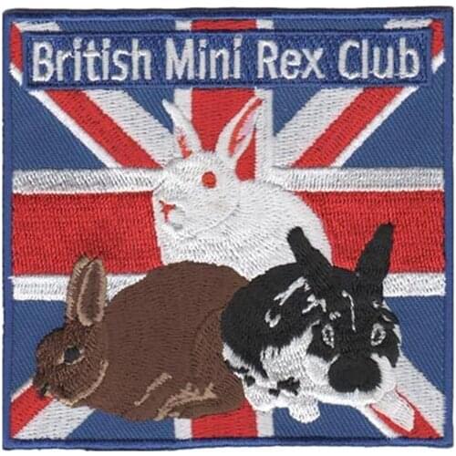 3", Emb.more than 80%,Make as client request, flag patch,merrow Cl14324010, PVC backing,100pcs/bag,MOQ50pcs,free shipping