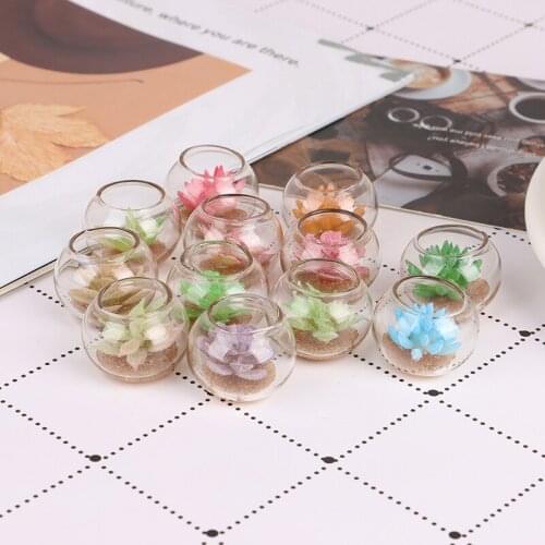 1:12 Dollhouse Miniature Glass Jar Succulent Plants In Pot Furniture Home Decor Micro Landscape Ornaments