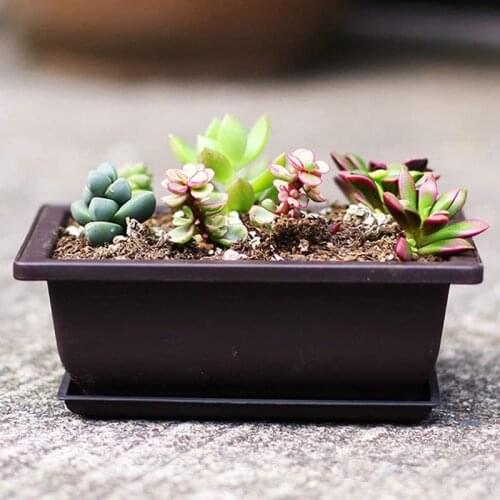 6-Piece Bonsai Pots-Classic Deep Wet Tray with Built-in Mesh-for Plants Flowers Herbs Plastic Square Pots