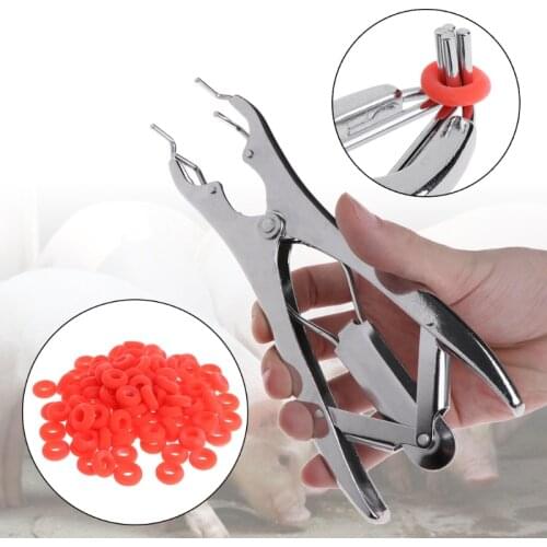 1 Set Animal Castration Pliers With Rubber Ring Tail Cutting Clamp Bloodless Pig
