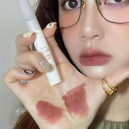 Velvet Matte Lipstick Waterproof Lip Gloss Long Lasting Lip Glaze Easy To Apply Beauty Cosmetic Lip Makeup TSLM1