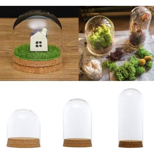 Clear Glass Display Dome Cover Cloche Bell Jar Succulent Terrariums with Wood Cork for Home Office Table Decor DIY