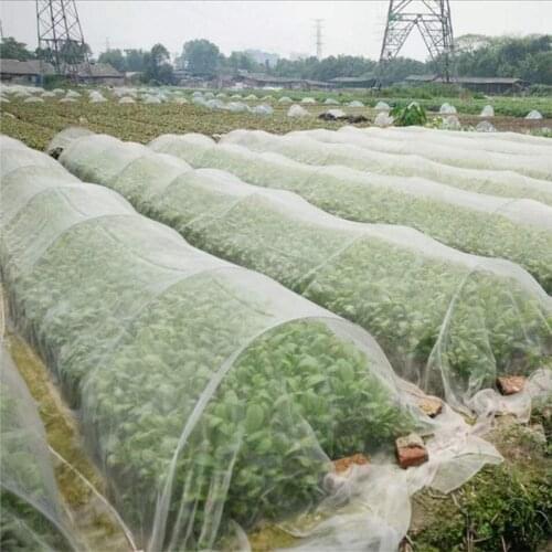 Garden Insect Net Cover Vegetable Mesh Net Protection Insect-proof 60 Mesh Greenhouse Flower Care Net