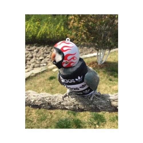 Bird hat, parrot helmet, bird supplies, pet supplies photo props, random styles