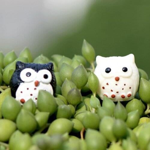 5Pcs Owl Figurine Miniature Animal Figure Decoration Owl Sculpture Eco-friendly Anti-fade Resin Miniature Owl Ornaments for Home