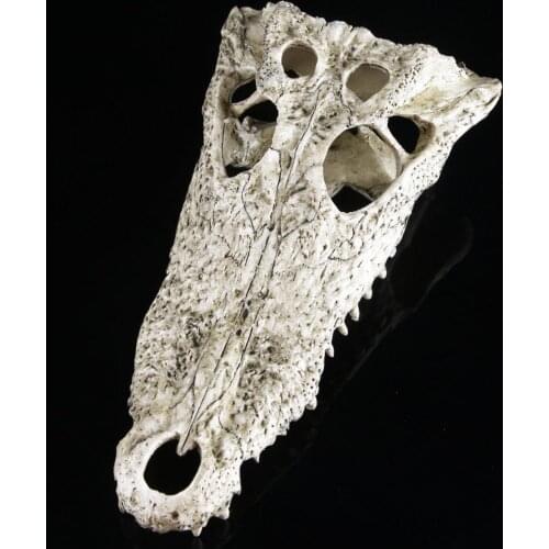 Reptile Vivariums Decorations Aquarium Fish Tank Water Aquarscaping Ornament Skull Animal Tools