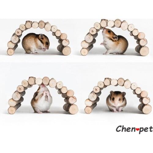 Natural Wooden Hamster Toy Apple Branch Chewing Toy Guinea Pig Shelter House Small Pet Bridge Chinchilla Accessory for climbing