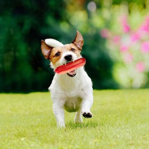 1pc Sausage Shape Dog Toys Soft Bite-Resistant Chew Toy Cleaning Puppy Training Interactive Toy Gift Lovely Fun Pets Plaything