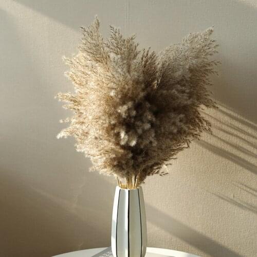 Multicolor Reed Hay Bouquet Wedding Decoration Dried Flowers Christmas Decoration Artificial Flowers Autumn Decoration