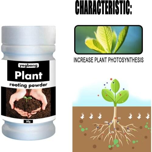 70g Rapid Rooting Powder Plant Growth Regulator For Seedling Bonsai Tree Cutting Fungicide Improve Surviva