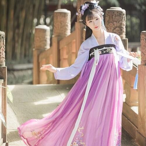 Woman Elegant Hanfu Dress Ancient Traditional Chinese Fairy Embroidery Stage Flok Dance Costume Retro Tang Dynasty Hanfu SL3384